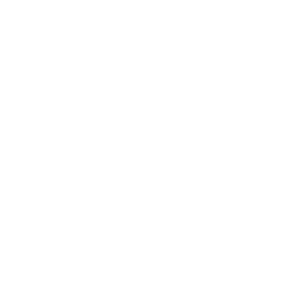 logo web